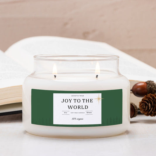 Joy to the World 12oz Jar Candle (Double Wick)