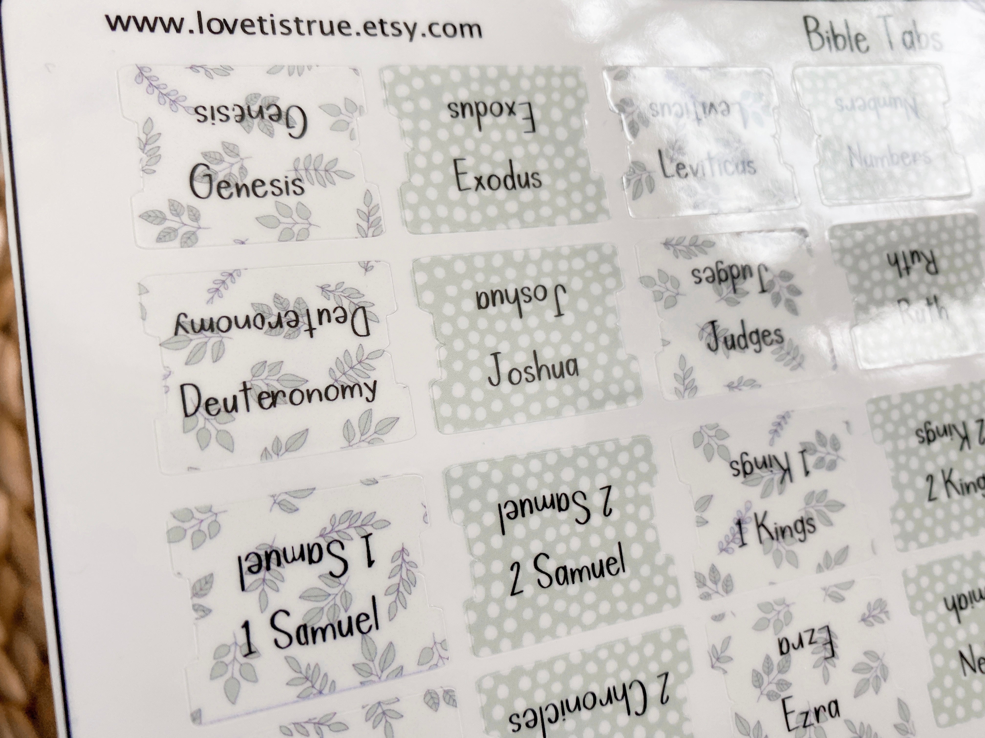 Bible Tabs Laminated Mini - Spring Leaves